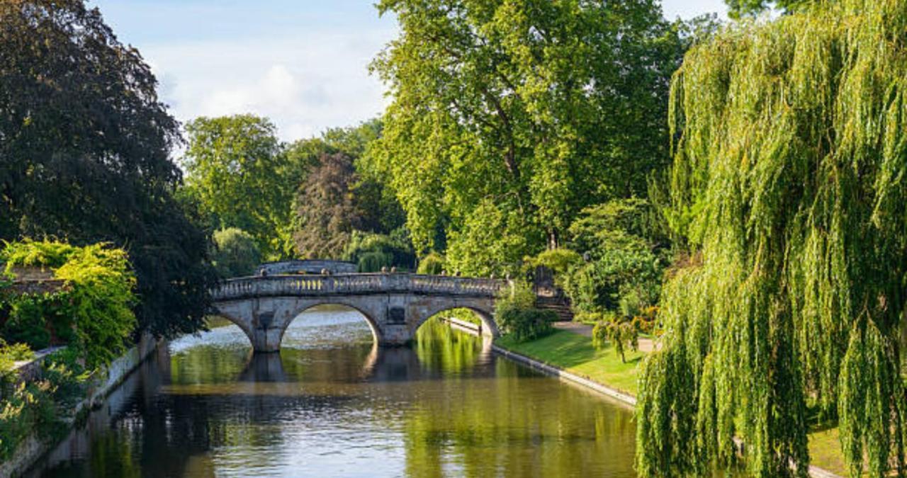 Stunning 1Br - Super Central- Peaceful Area - Lower Ground Apartment Cambridge  Buitenkant foto